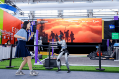 人类和其他动物的进修体例