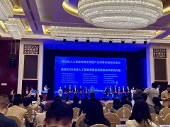 於AI模子的創新本身