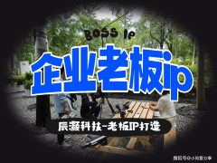 模式单一、师资实和经验不脚等问题